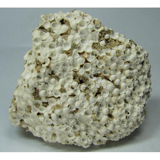 Aragonite Var Aragonite