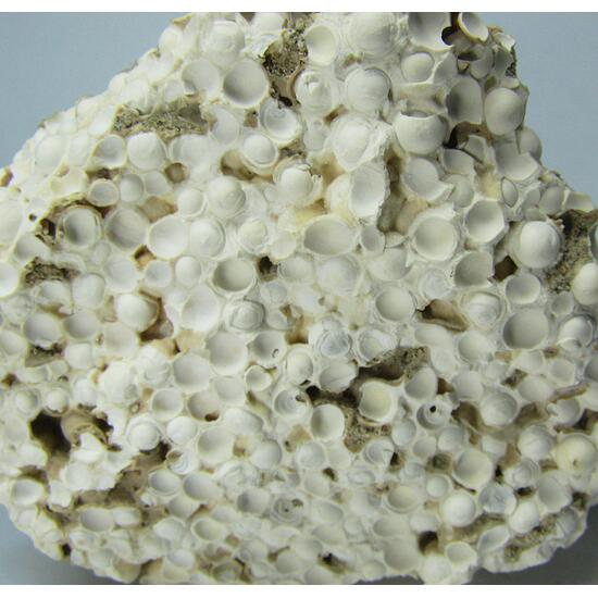 Aragonite Var Aragonite