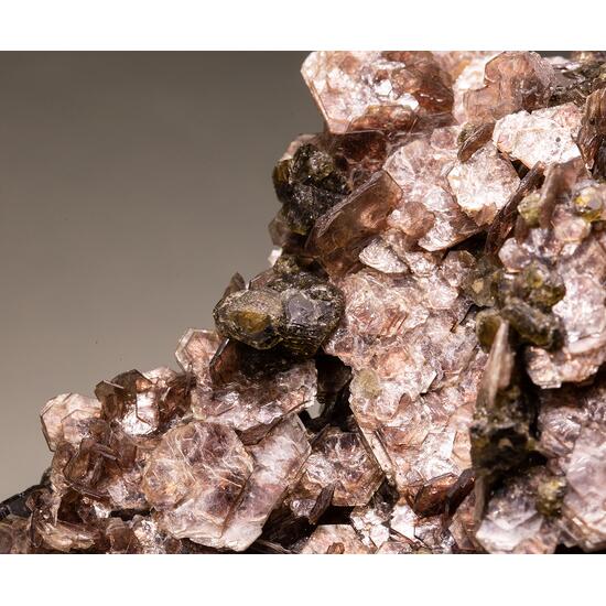 Muscovite & Fluorapatite