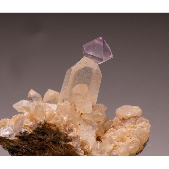 Amethyst & Quartz Var Sceptre