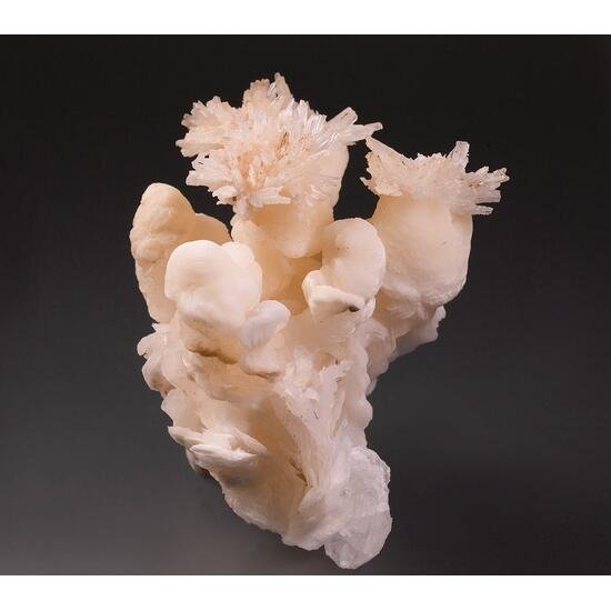 Calcite & Aragonite