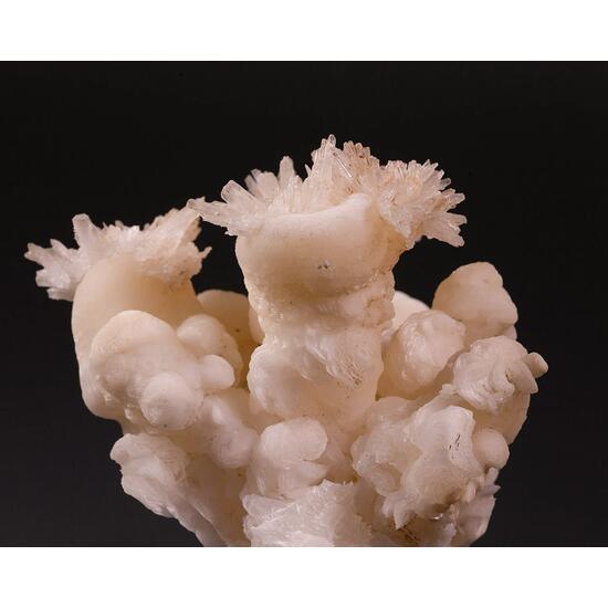 Calcite & Aragonite