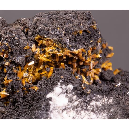 Campylite