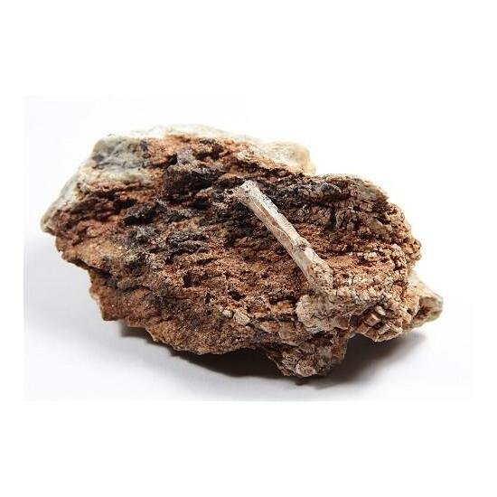 Apatite