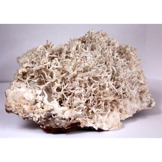 Aragonite Var Flos Ferri