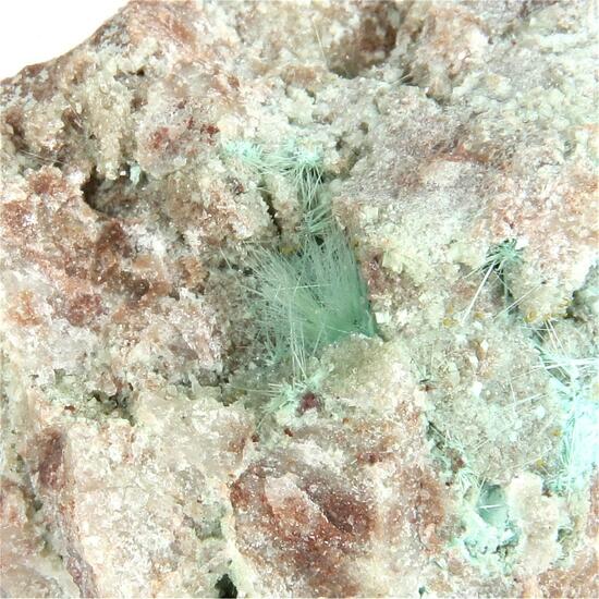 Chrysocolla With Bayldonite