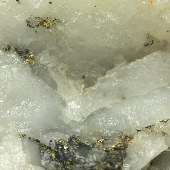 Gold With Pyrite