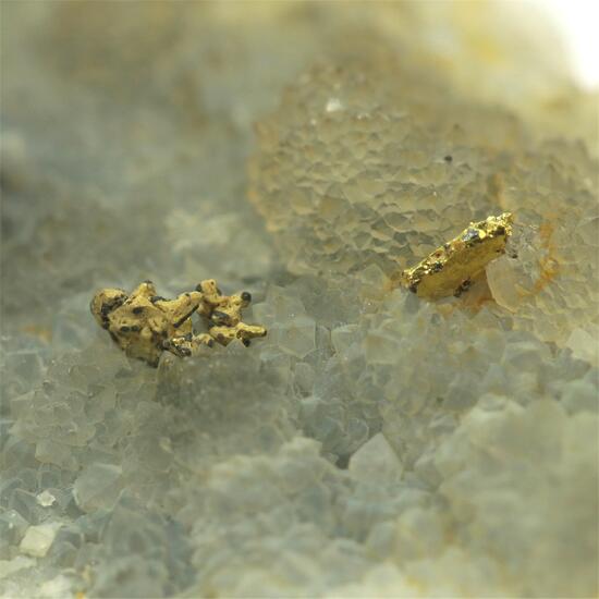 Gold With Quartz