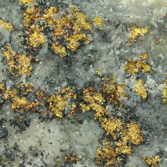 Gold With Tetrahedrite