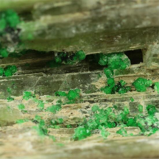 Chrome-Bearing Grossular With Diopside
