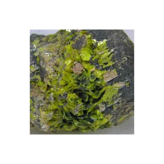 Autunite