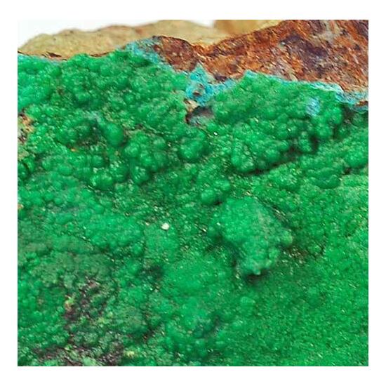 Conichalcite