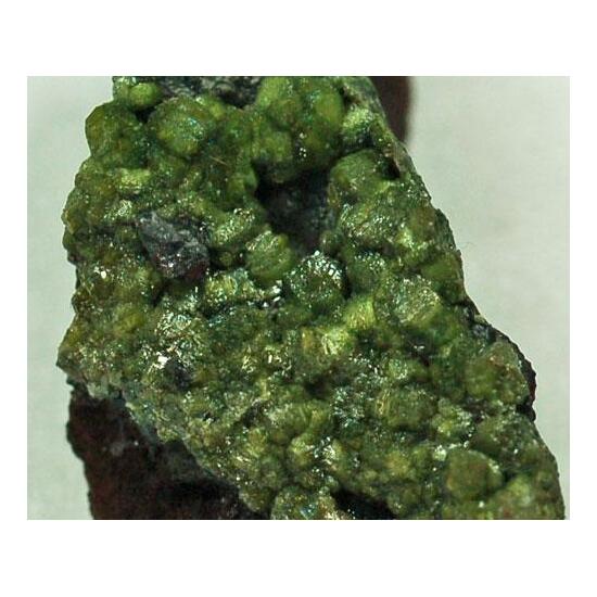 Duftite