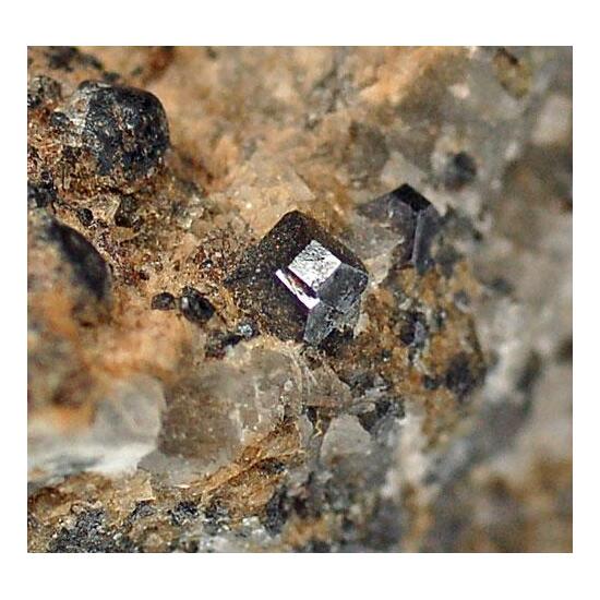 Perovskite Var Dysanalyte