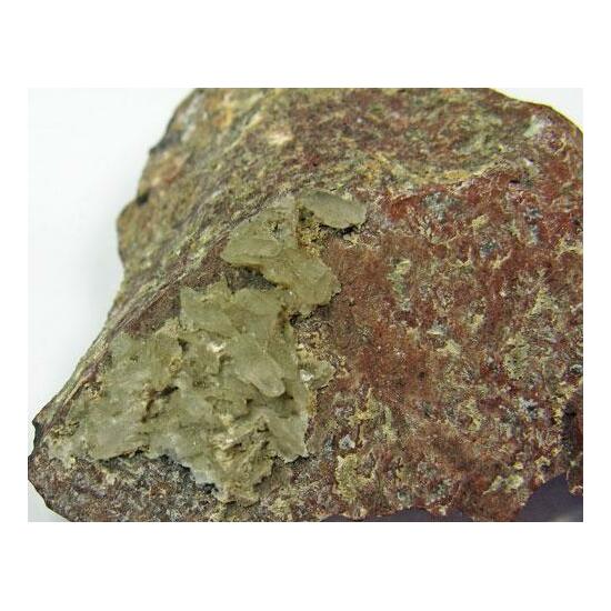 Whewellite