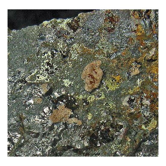 Kidwellite