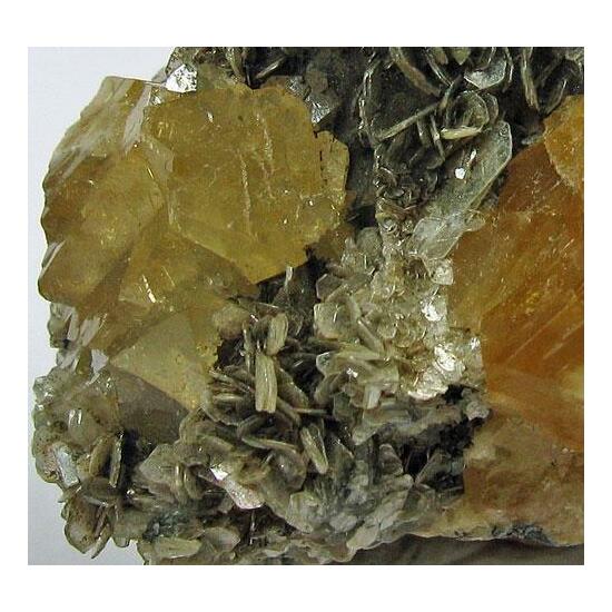 Scheelite On Muscovite