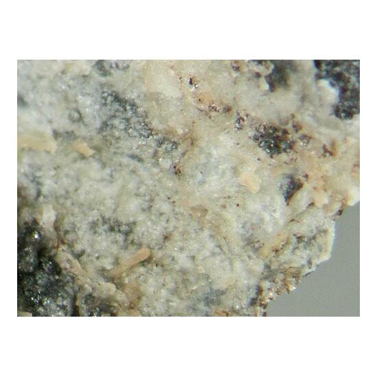 Carlhintzeite