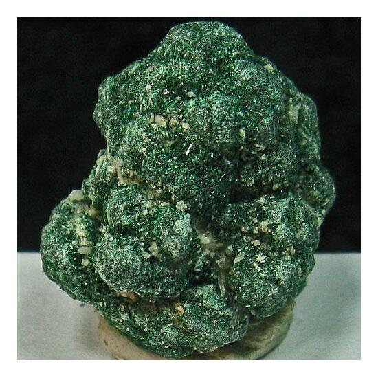 Atacamite & Malachite