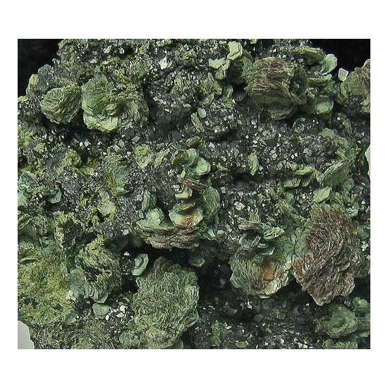 Chlorite