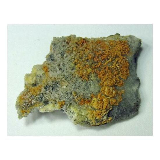 Mascagnite & Salammoniac