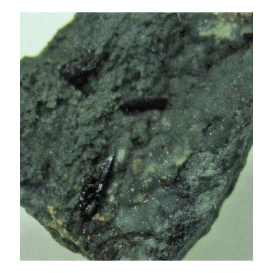 Neptunite