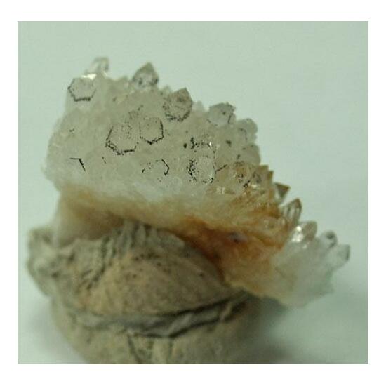 Scrutinyite