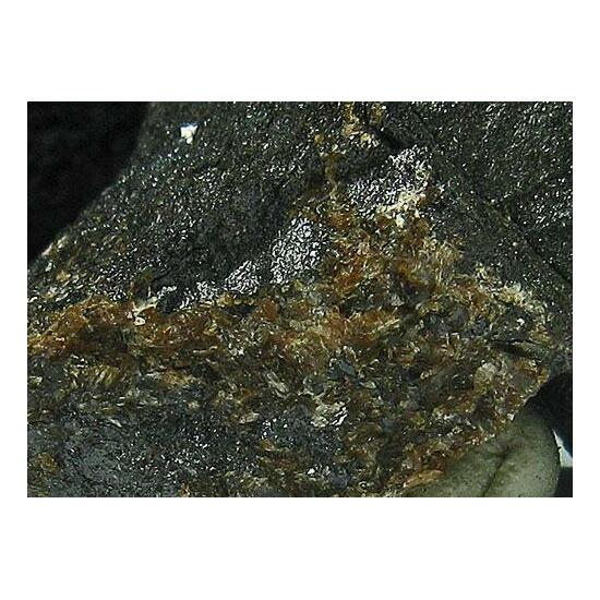 Kentrolite