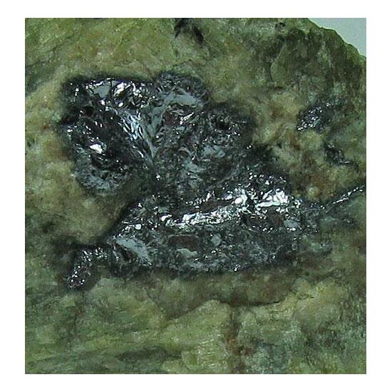 Molybdenite