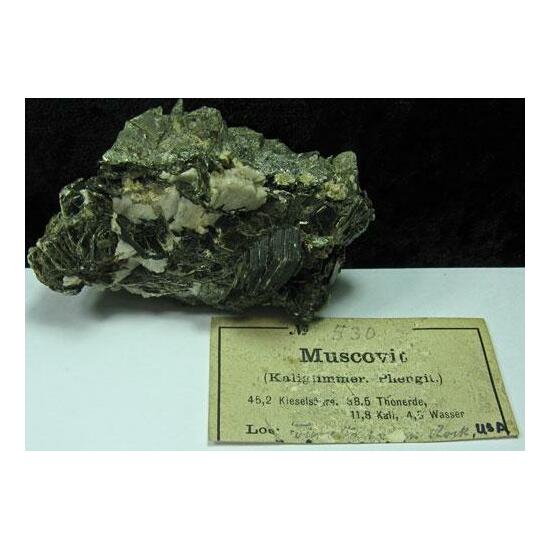 Muscovite