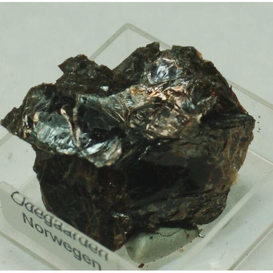 Phlogopite