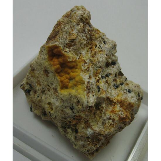 Carbonate-rich Fluorapatite