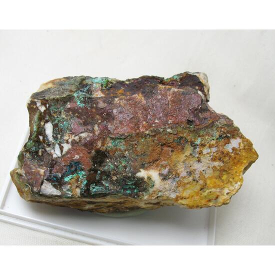 Cuprite Var Chalcotrichite & Langite & Malachite