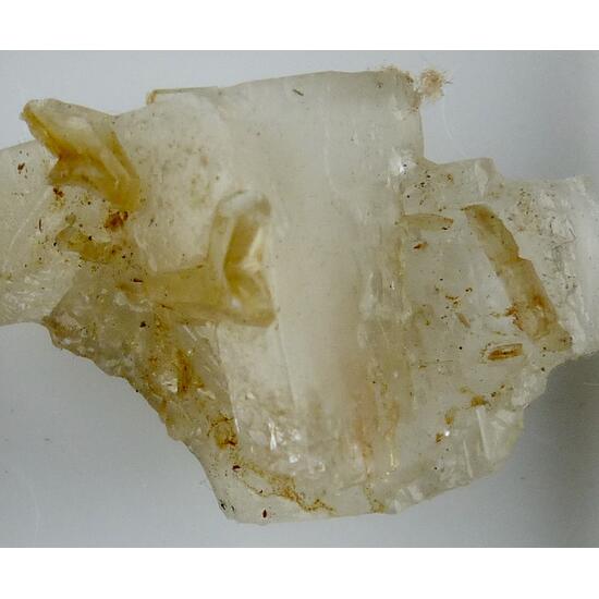 Halite & Gypsum