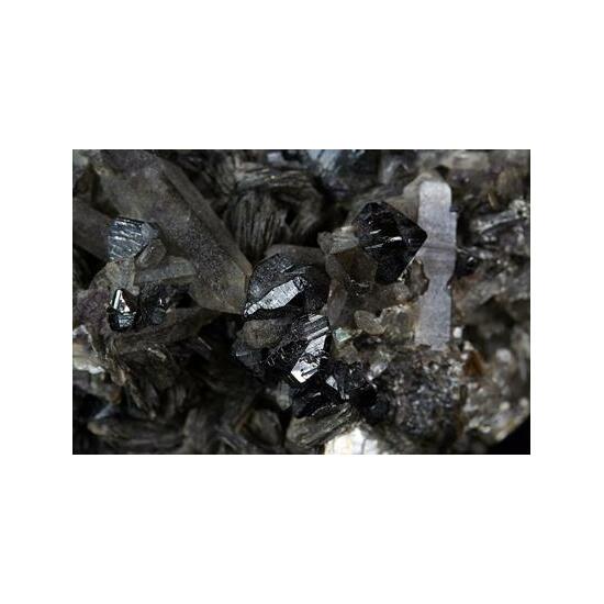 Cassiterite Zinnwaldite & Quartz