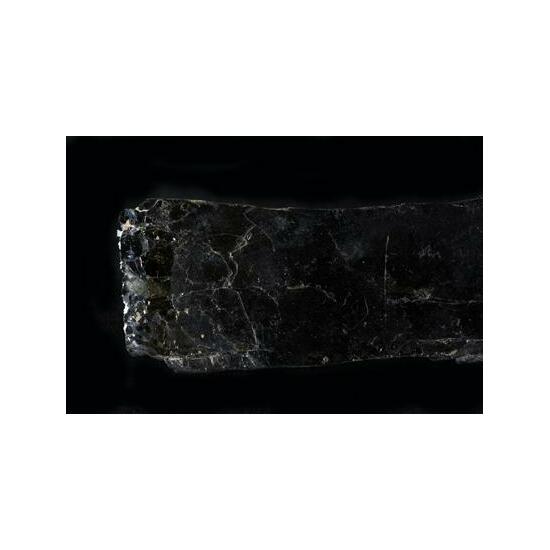 Phlogopite