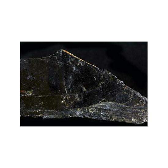 Phlogopite