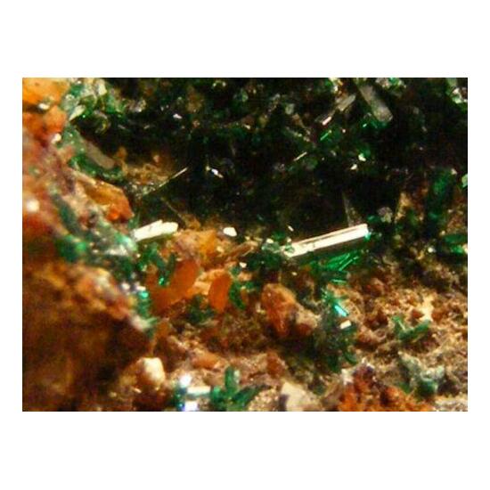 Atacamite & Malachite