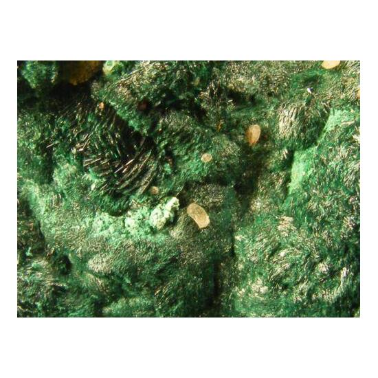 Atacamite