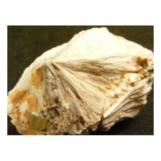 Scolecite