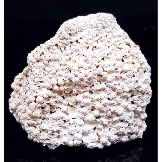 Aragonite