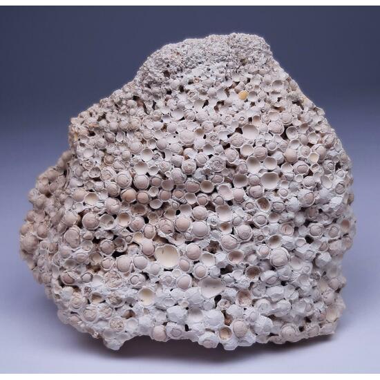 Aragonite