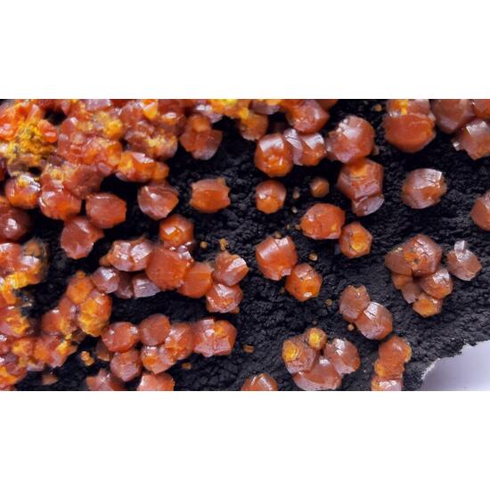 Campyllite