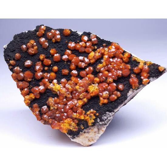 Campyllite