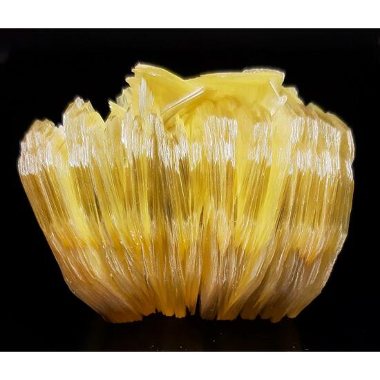 Muscovite