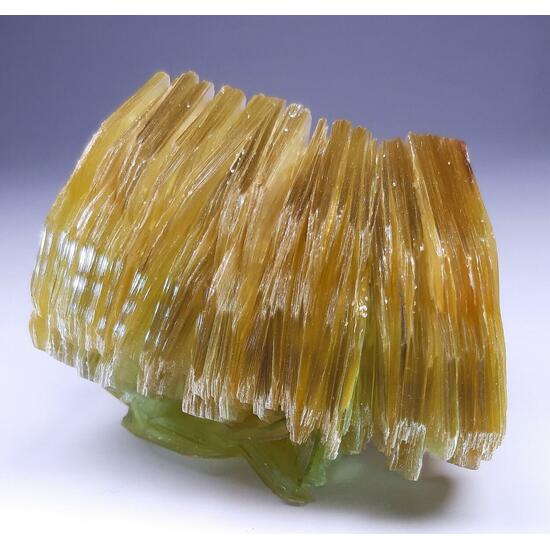 Muscovite