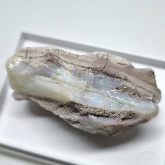 Opal