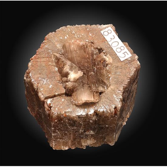 Aragonite