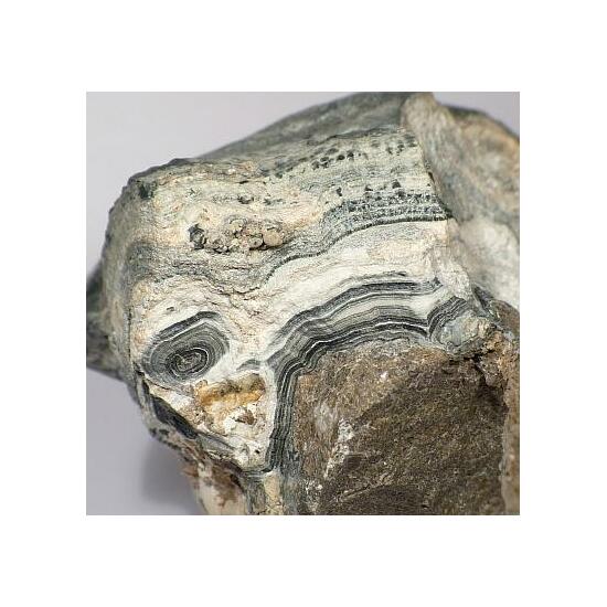 Calcite Var Travertine