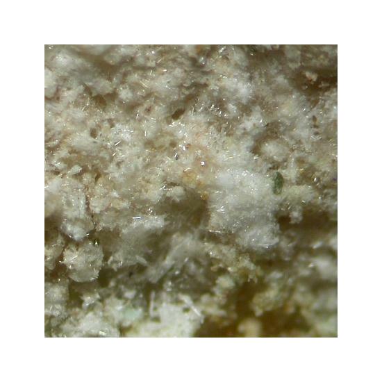 Eugsterite & Darapskite